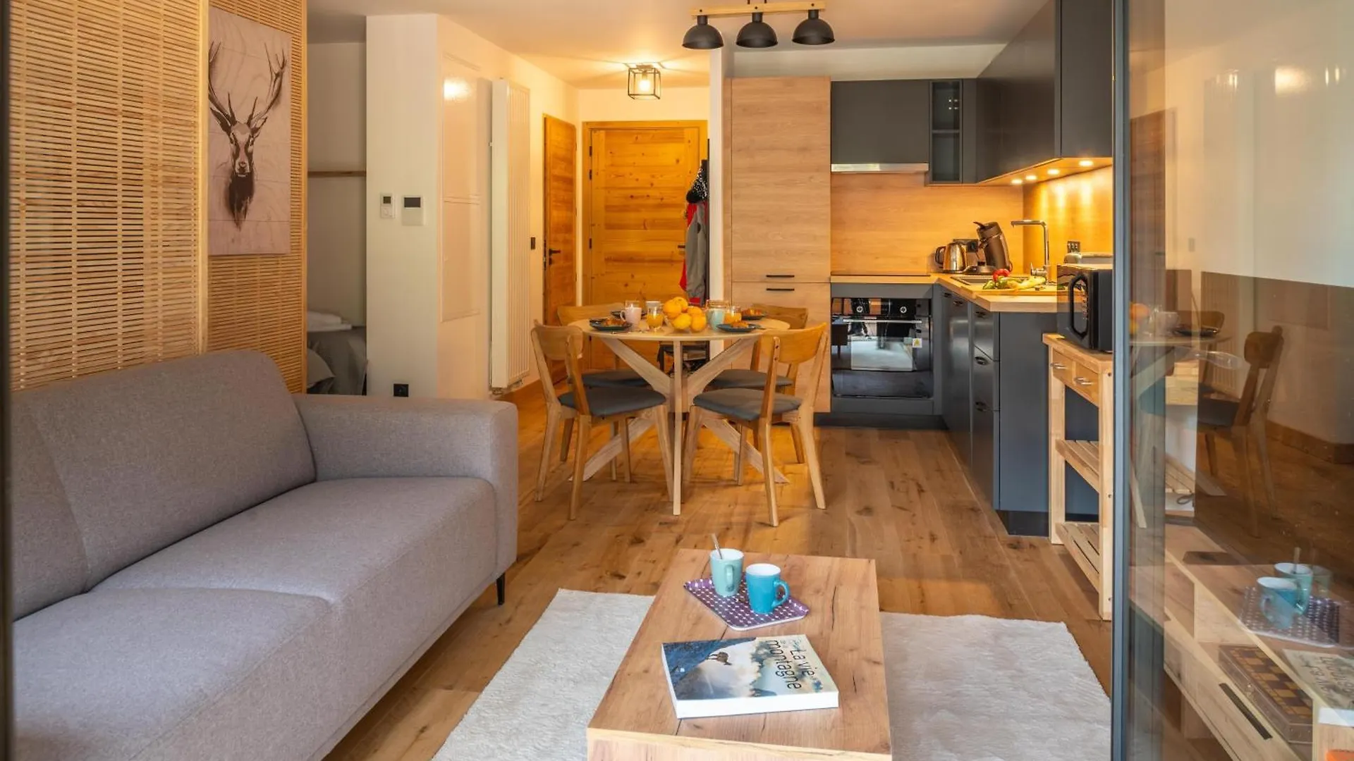 Apartment Cairn Harmony A109 Les Gets